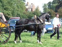 DSCF14192000_06_04_14_05_40