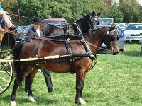 DSCF14202000_06_04_14_06_24