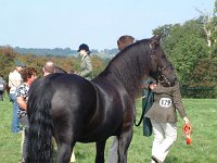 DSCF14212000_06_04_14_06_51