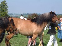 DSCF14222000_06_04_14_07_15