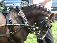 DSCF14262000_06_04_14_09_27