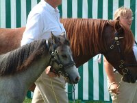 DSCF14272000_06_04_14_10_00