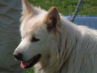 DSCF14292000_06_04_14_16_47