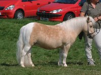 DSCF14312000_06_04_14_17_24