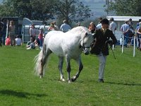 DSCF14332000_06_04_14_25_40