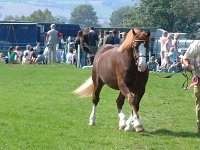 DSCF14342000_06_04_14_30_13