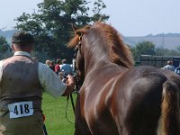 DSCF14352000_06_04_14_30_23