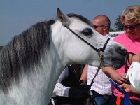 DSCF14382000_06_04_14_34_54