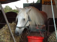 DSCF14442000_06_04_15_20_25