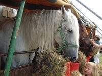 DSCF14462000_06_04_15_21_14