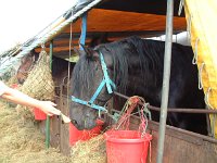 DSCF14482000_06_04_15_22_32