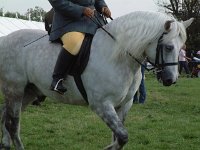 DSCF14582000_06_04_16_42_00