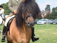 DSCF14652000_06_04_16_43_42