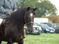 DSCF14682000_06_04_16_44_33