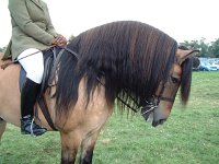 DSCF14792000_06_04_16_50_00