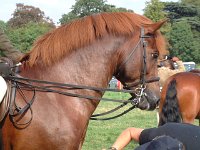 DSCF14862000_06_04_16_57_20