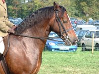 DSCF14892000_06_04_17_21_50