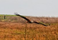 IMG_1509