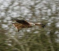 IMG_1511