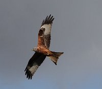 JJG02228