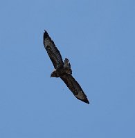 JJG07867