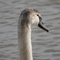 DSC06888