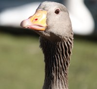 DSC07162