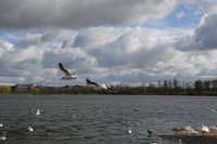 DSC07206