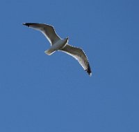 JJG04056