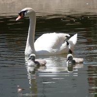 JJG05358JJ